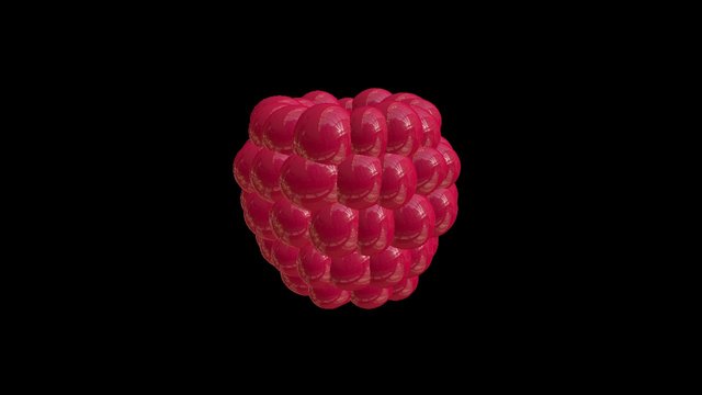 Raspb July29 3 Sktchfb 3D Model