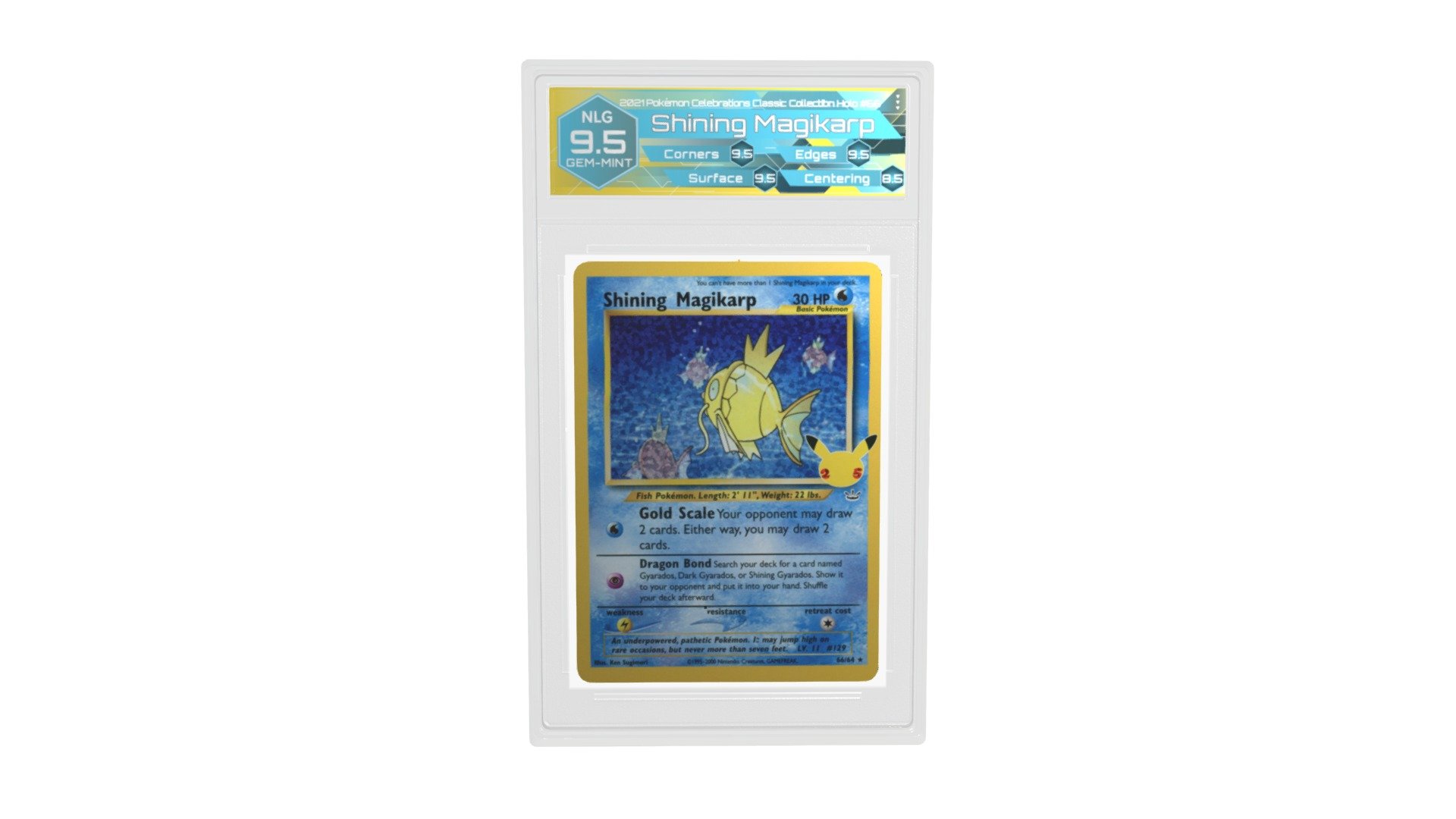 49228255