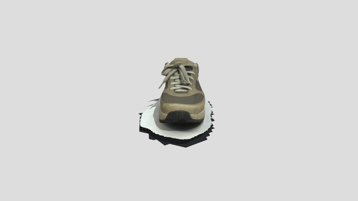 GEO252_Shoe 3D Model