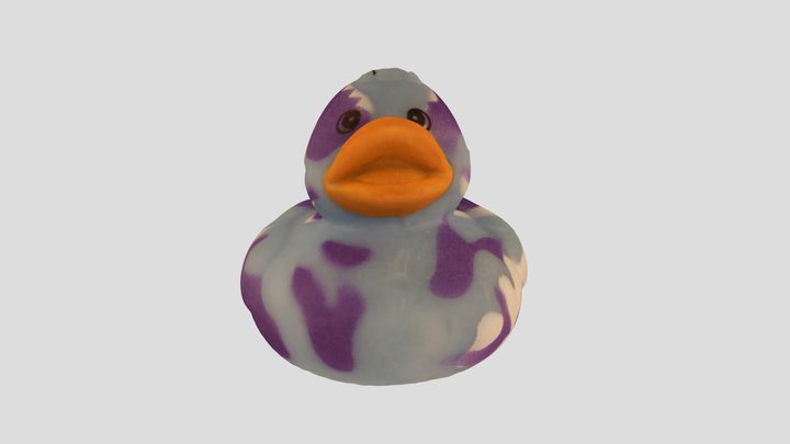 Colorful Duck 3D Model