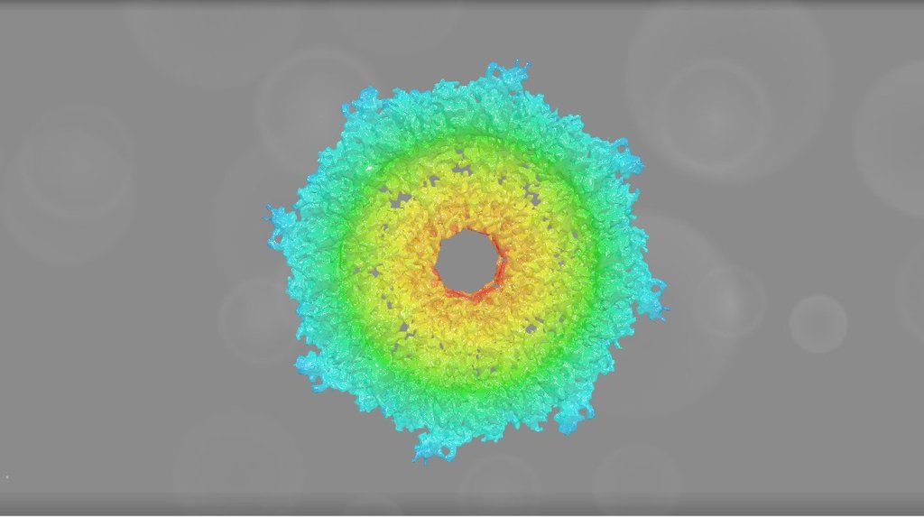 EMD 3006 - 3D model by Interactive 3D Data (@proteinsimulation ...