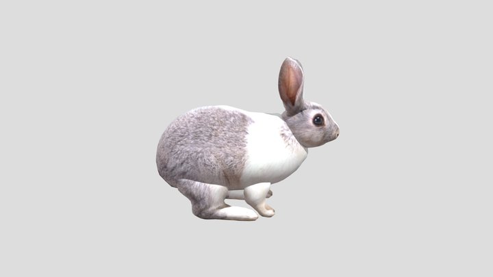 Desktop 3D Model