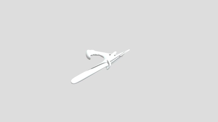 Tribe key 3D Model