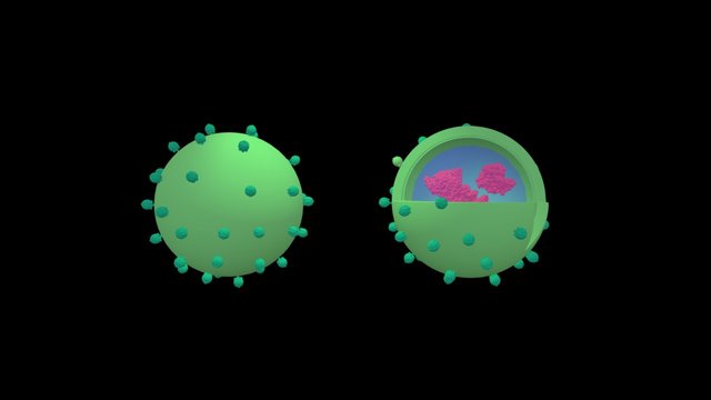 Nanoparticle[kor] 3D Model