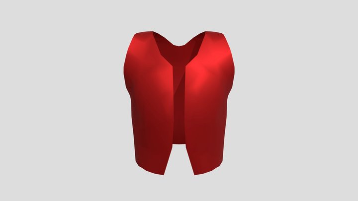 Vest for 3d print or flat modeling 3D Model