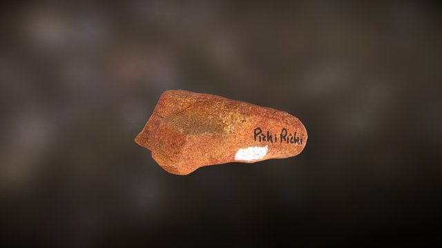 Pitchi Richi "tuff"" 3D Model