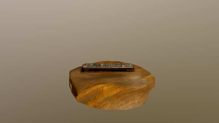 remote 3D Model