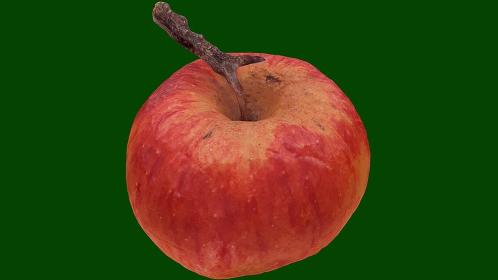 3D Scanned Apple 3D Model