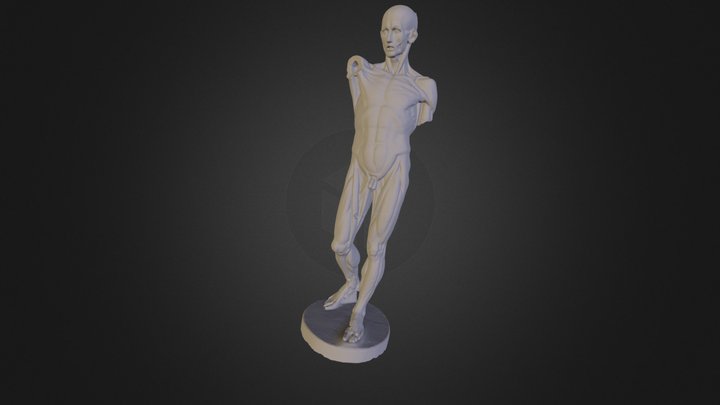 modelisation3D d'une sculpture classique 3D Model