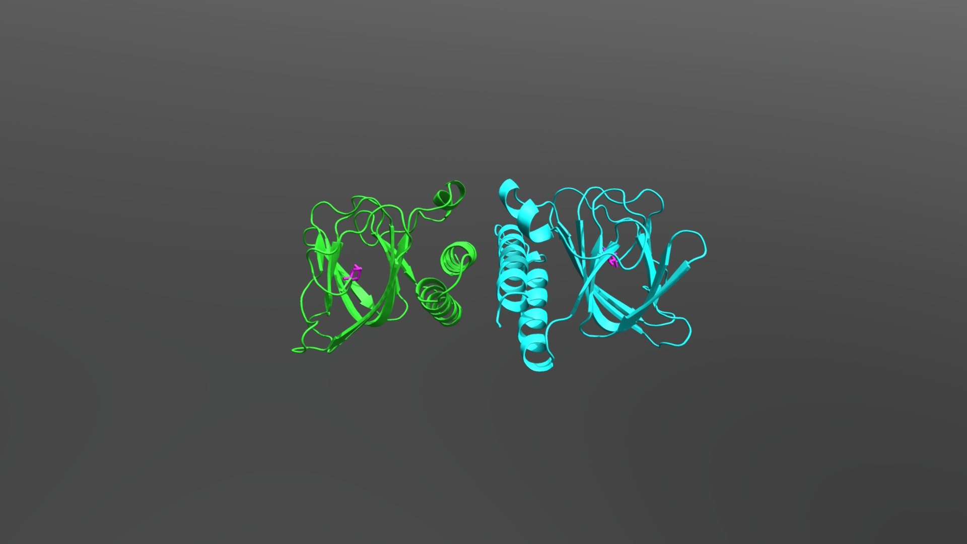 Ara C-ligand Binding Domain-NTD
