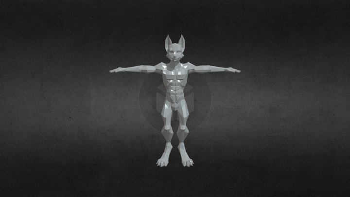 Low-Poly Wolf/Canid Base (male) 3D Model