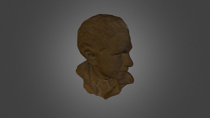 Portrait d'homme 3D Model
