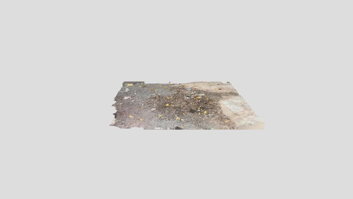Ground with leaves 3D Model