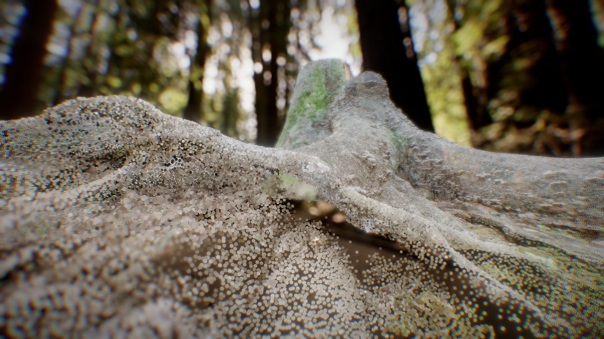 Tree (3Dscan + Pointcloud Render)