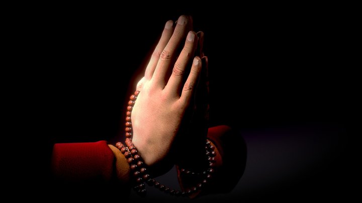 Hand anatomical study - Pray - 3D Model