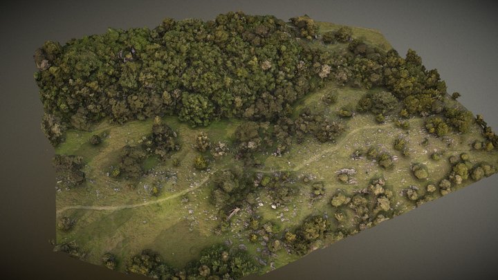 Landscape Scan 3D Model