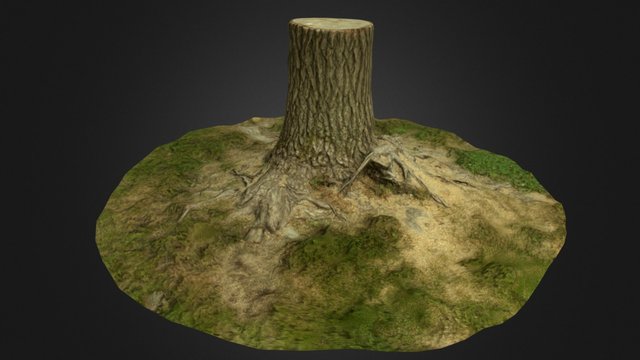 Tree Stump 3D Model