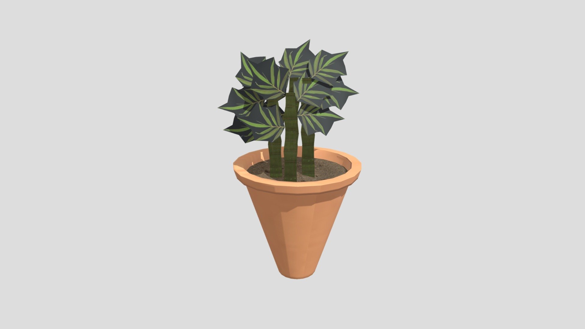 Plant