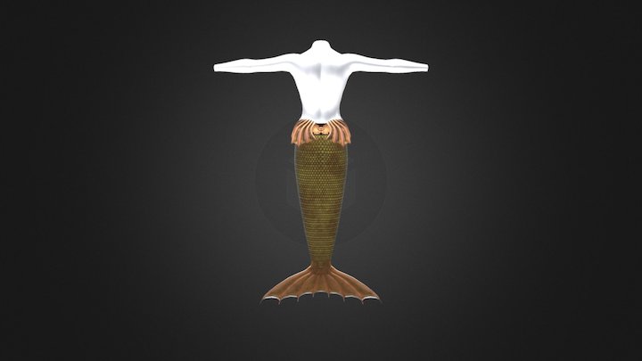 mermaid tail 3D Model