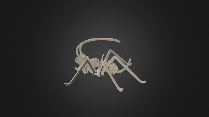 Cricket2 3D Model