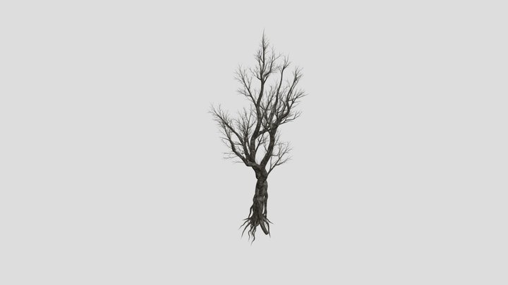 Dead tree 3D Model