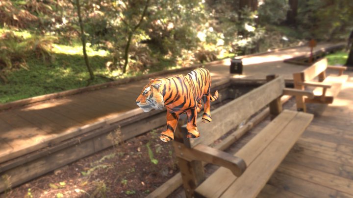Tigre (Karol) 3D Model