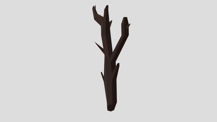 Branch