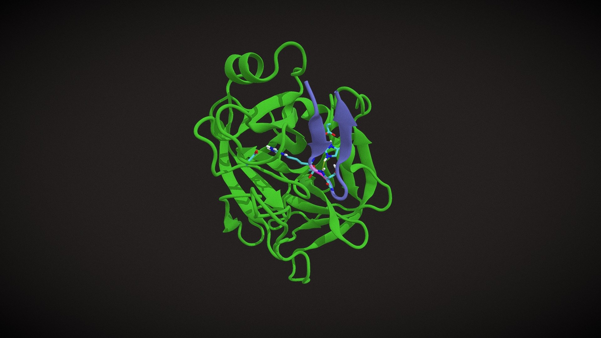 serine protease rxn2