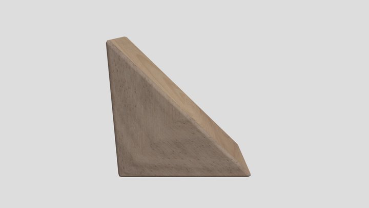 CGT116-A6- Erin Moore (Triangular Prism) 3D Model