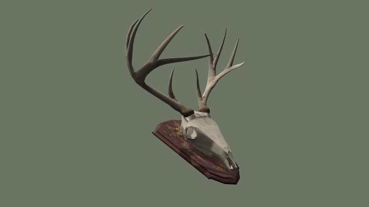 SM Deer Skull 3D Model