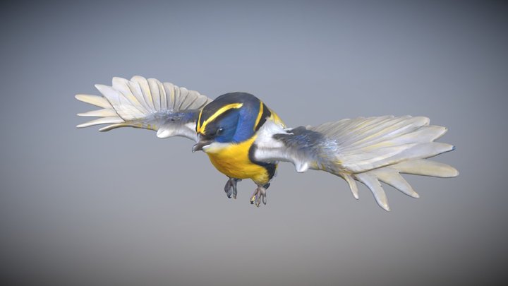 Siete Colores del Loa 3D Model