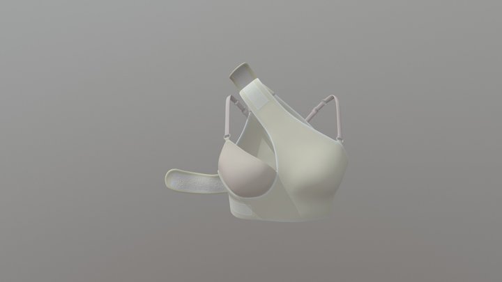 Bra for Mastectomy Patients 3D Model