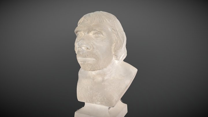 Neanderthal - bust 3D Model