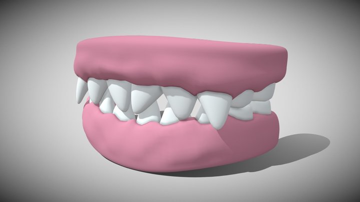 not human teeth 3D Model