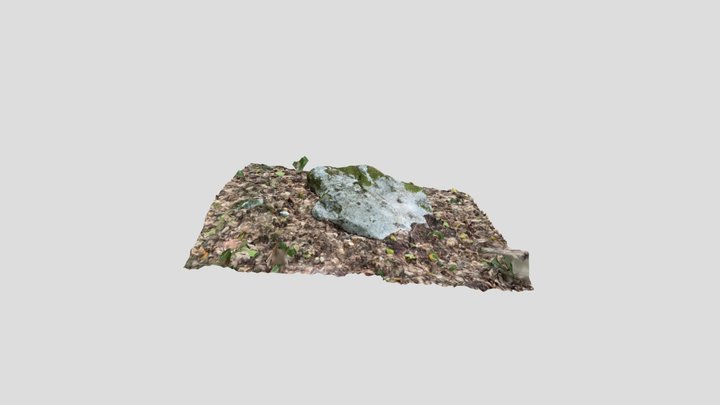 Mossy Rock 3D Model