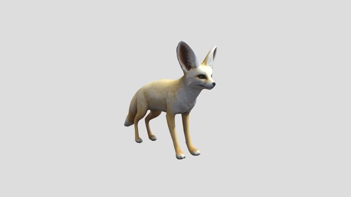 Fennec foxy 3D Model