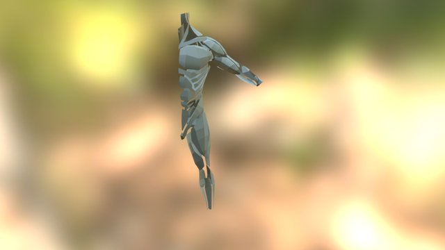 Base Musculature For Any Character 3D Model