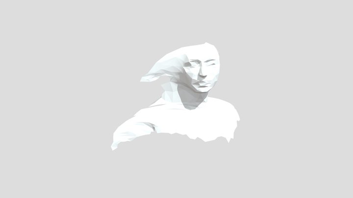 CARA VIENTO 3D Model