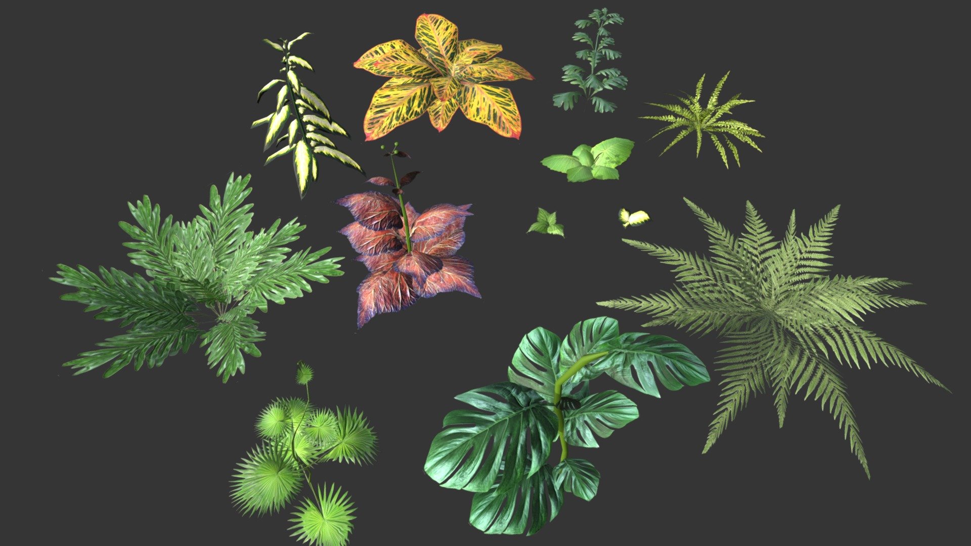 Set of plant tropic - 3D model by Ybreibyf [ec8db2b] - Sketchfab