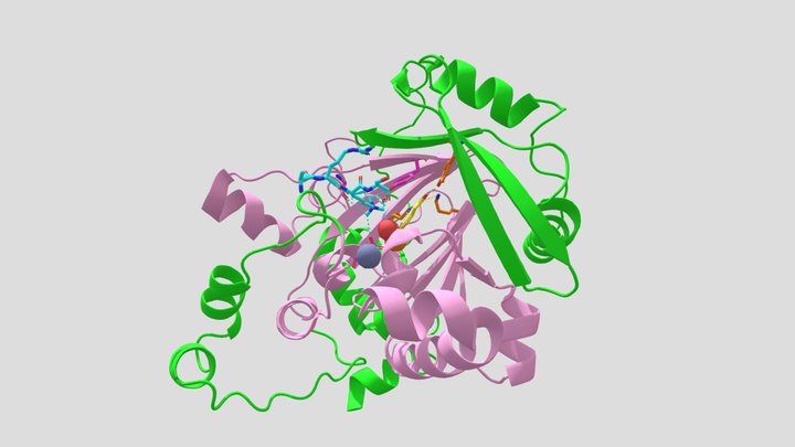 BCMB3x01 JMJD2A Protein Model and Tour 3D Model