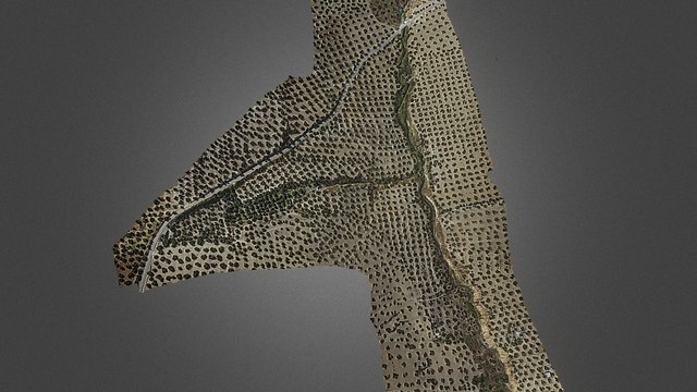 Terreno EDAR Arjonilla 3D Model