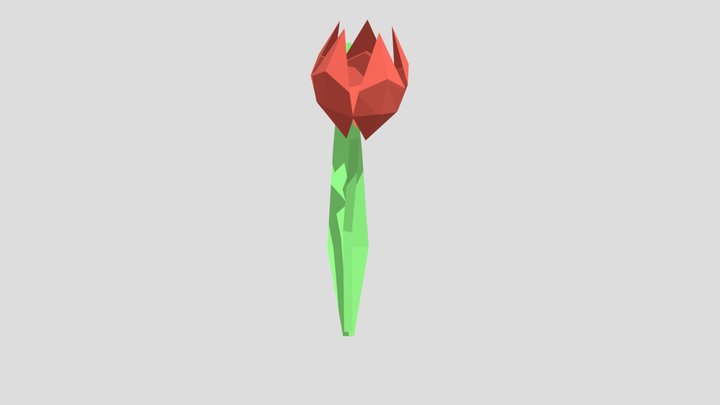Tulip 3D Model