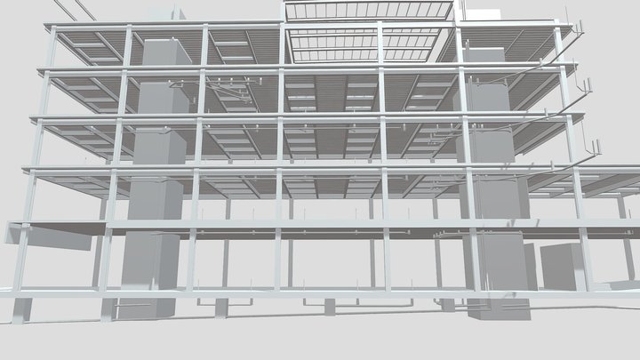 cloacal 3d 2 3D Model
