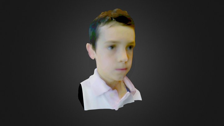 Nate-Sense-Scan 3D Model