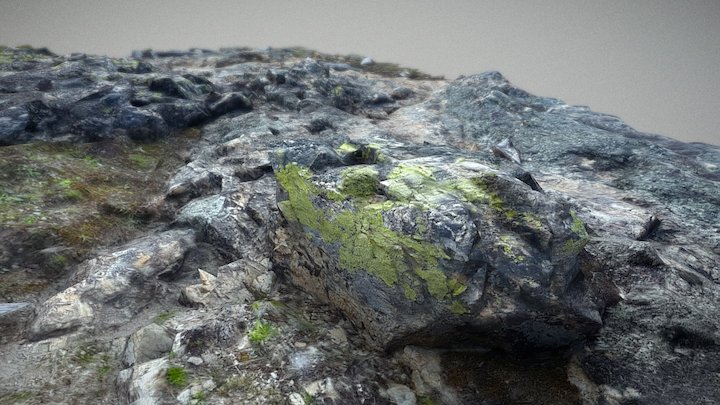 Rock Deposit (Retopo Test) 3D Model