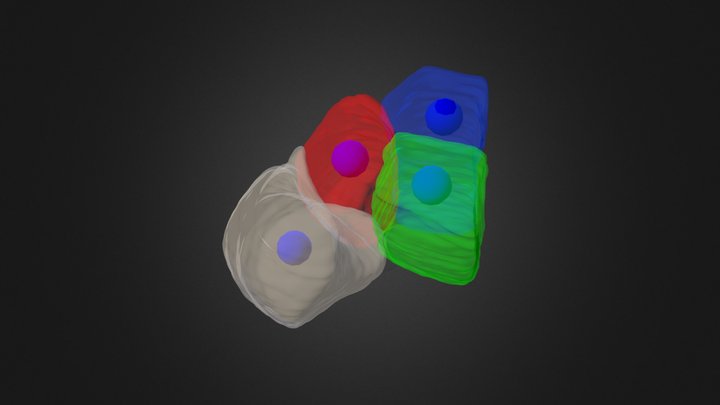 4 3D Model