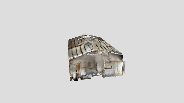Untitled Scan 3D Model