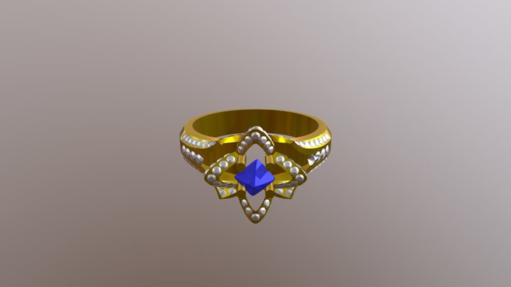 WR 306 3D Model