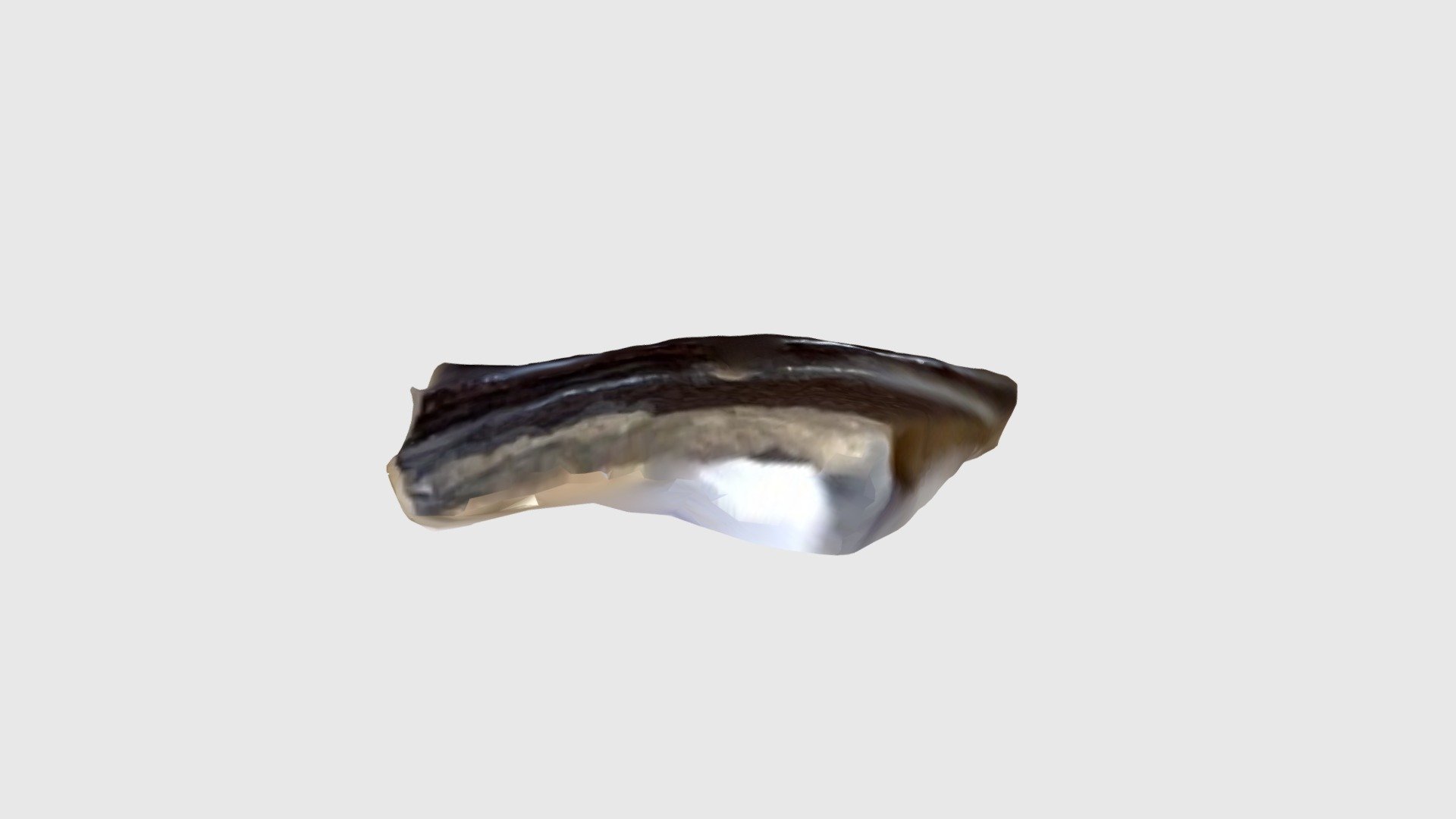 Chinese Brown-Glazed Stoneware (CBGS) Rim