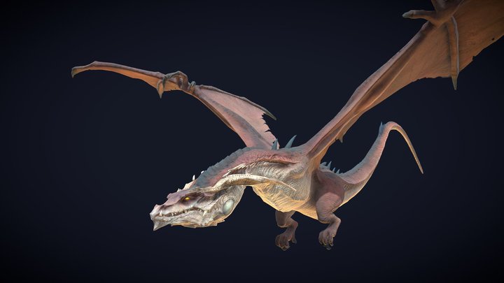 Animated Dragon Three Motion Loops 3D Model